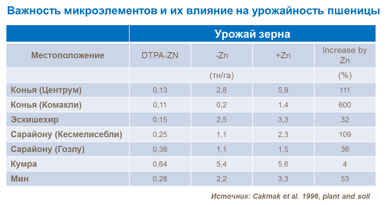 Озимая пшеница школа. Подкормка озимой пшеницы. Сорт Юка озимая пшеница. Сорт пшеницы Гром. Алтайская 60 пшеница урожайность.